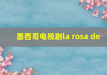 墨西哥电视剧la rosa de